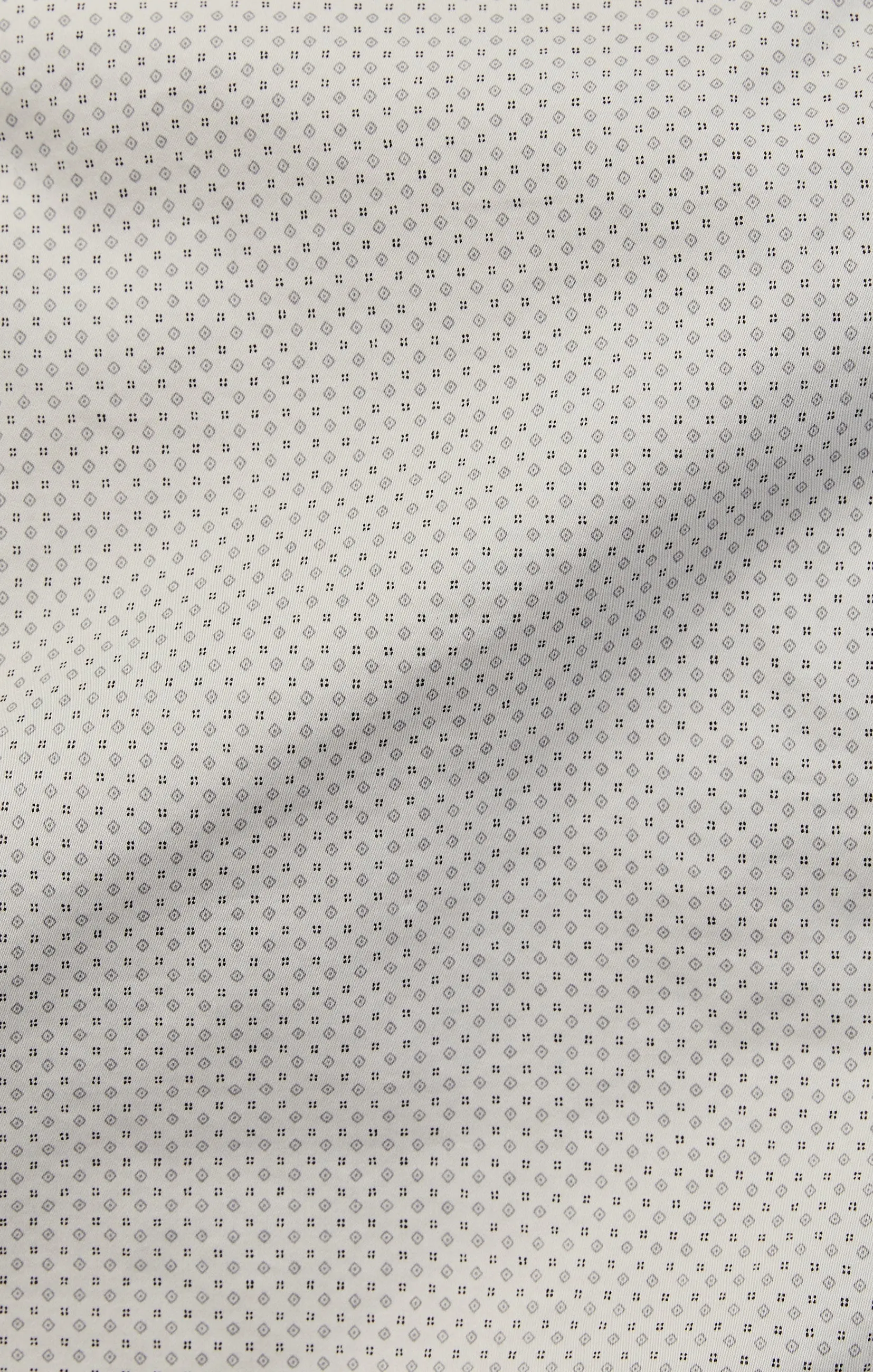 Arizona Shorts In Oyster Fancy Print