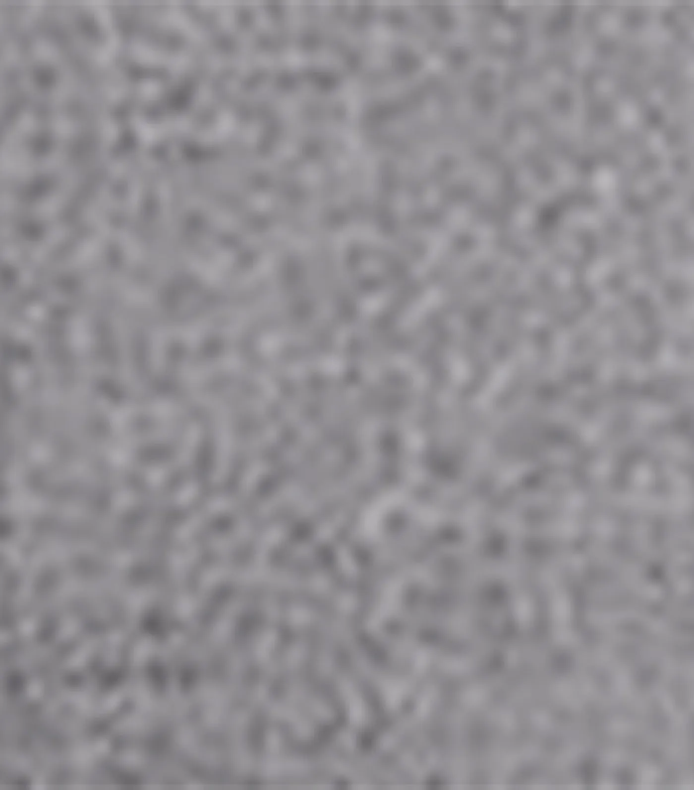 Core Temp Chino Gray Heather