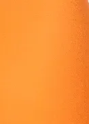 TLC Bike Shorts in Tangerine